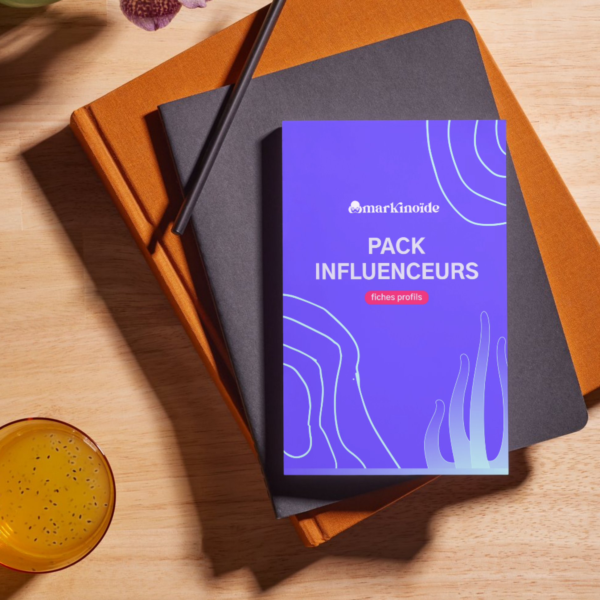 MARKINOÏDE PACK INFLUENCEURS FICHES PROFILS 2025